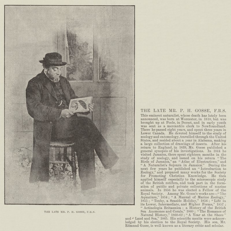 The Late Mr P H Gosse, FRS by English Photographer