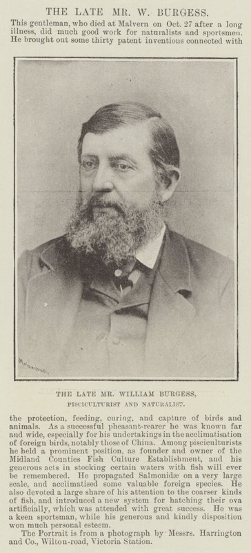 The Late Mr William Burgess, Pisciculturist and Naturalist by English Photographer