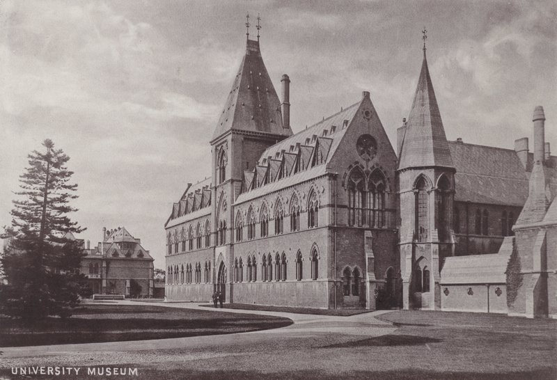 University Museum by English Photographer