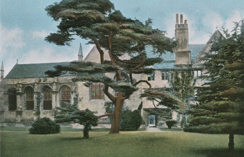 Wadham College by English Photographer