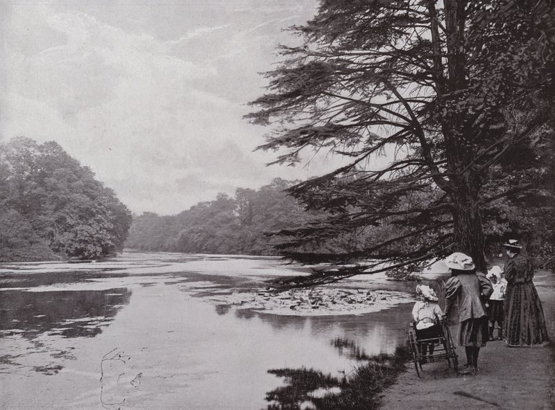 Wanstead Park by English Photographer