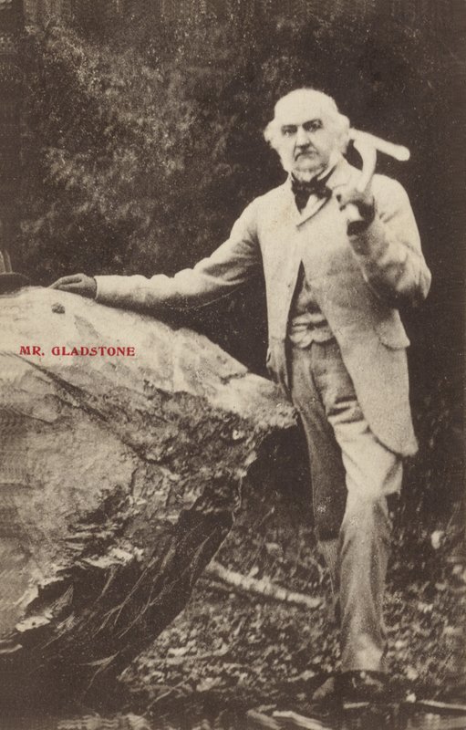 William Ewart Gladstone by English Photographer