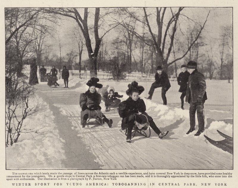 Winter Sport for Young America, Tobogganing in Central Park, New York by English Photographer