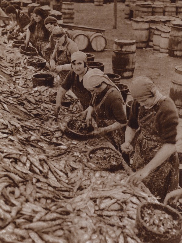 Women in Great Yarmouth splitting and cleaning herring by English Photographer