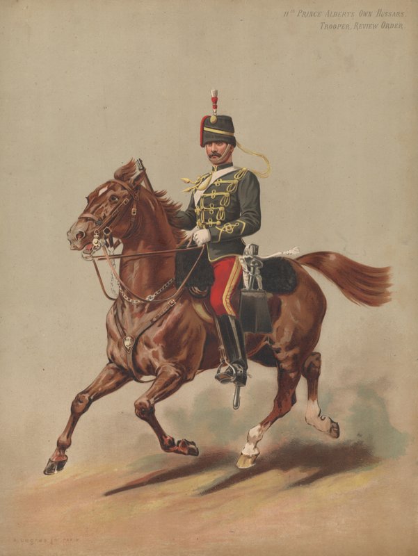 11th Prince Albert