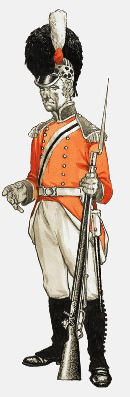 92nd Hon. Artillery Co. Infantry Div. Private 1803 by English School