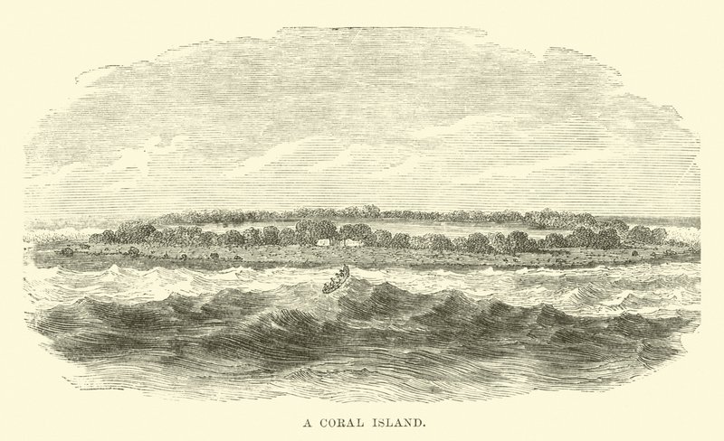 A Coral Island by English School