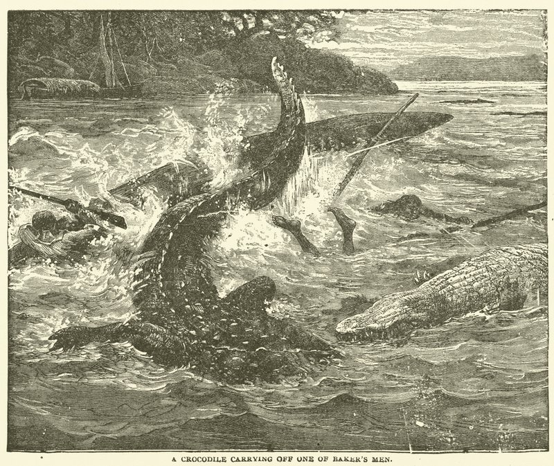A Crocodile carrying off one of Baker