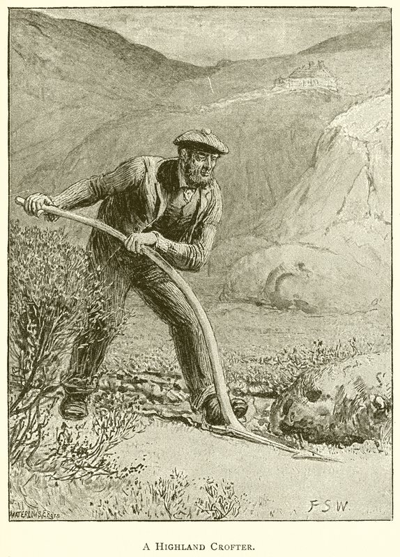 A Highland Crofter by English School