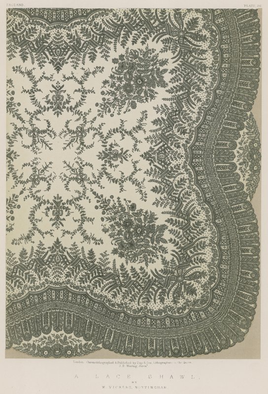 A Lace Shawl by English School