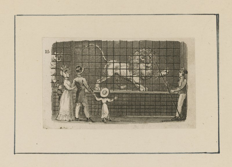 A Lion in City Scenes by English School