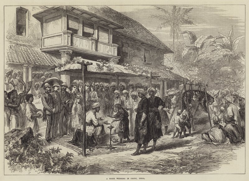 A Tiger Wedding in Coorg, India by English School