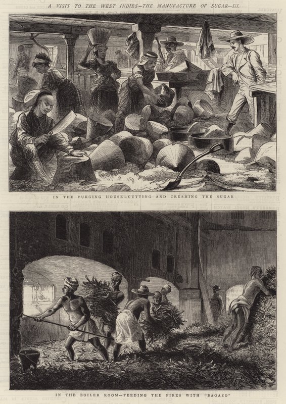 A Visit to the West Indies, the Manufacture of Sugar, III (engraving) by English School