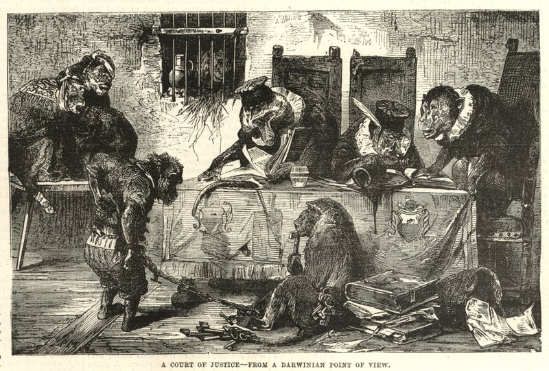 A court of justice from a Darwinian point of view by English School