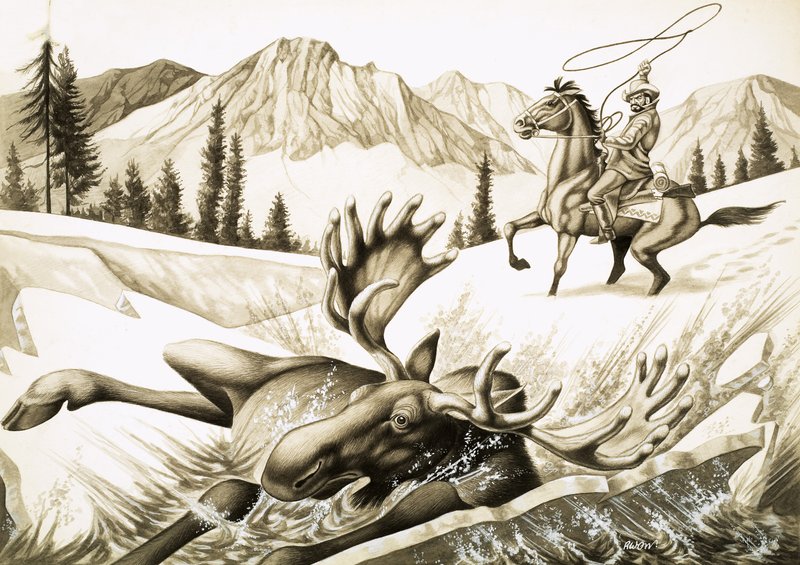 A cowboy in British Columbia lassoes a bull moose by English School