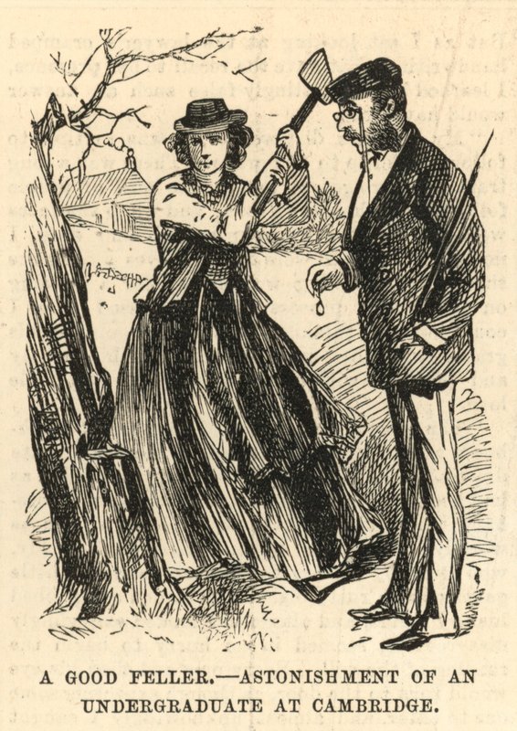 A good fellow; Astonishment of an undergraduate at Cambridge by English School