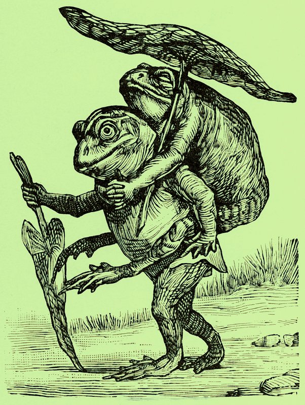 A kind husband, illustration from Coles Funny Picture Book by English School