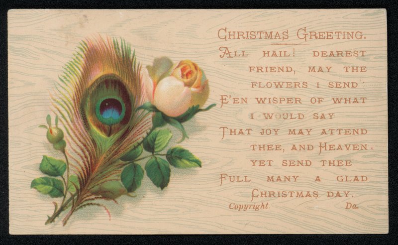 A Peacock Feather and a Rose, Christmas Greetings Card by English School