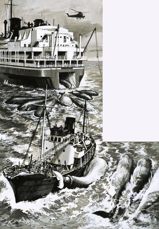 A Whaling Factory Ship by English School
