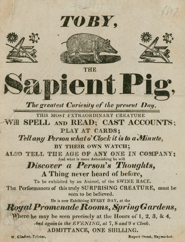 Advert for Toby the Sapient Pig, the greatest curiosity of the present day by English School