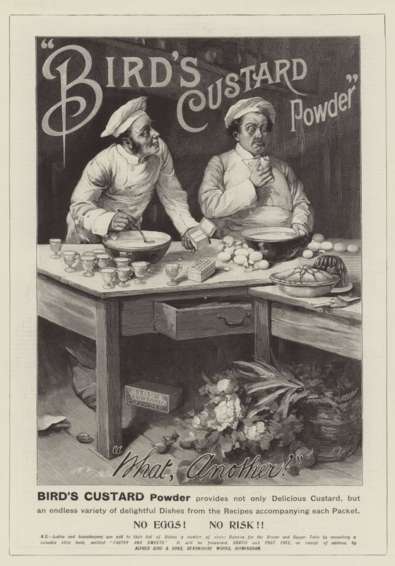 Advertisement, Bird