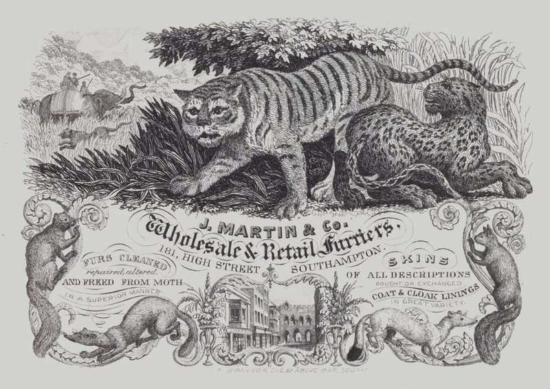 Advertisement for J Martin & Co, wholesale and retail furriers, Southampton, Hampshire by English School