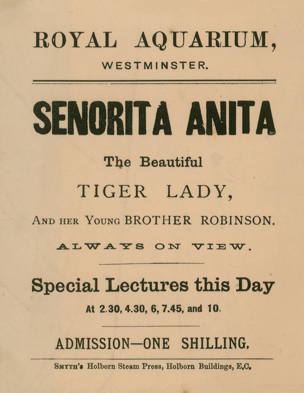 Advertisement for Senorita Anita by English School
