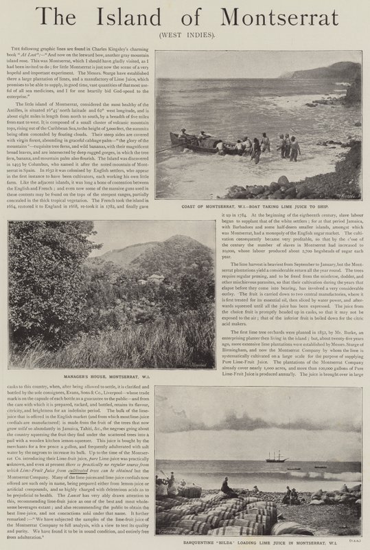 Advertisement, the Island of Montserrat, West Indies by English School