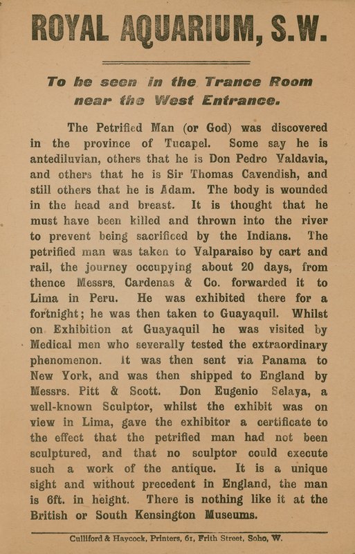 Advertisement for the Petrified Man by English School