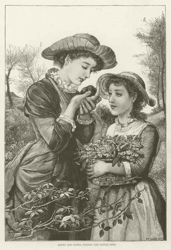Agnes and Ethel Finding the Little Bird by English School