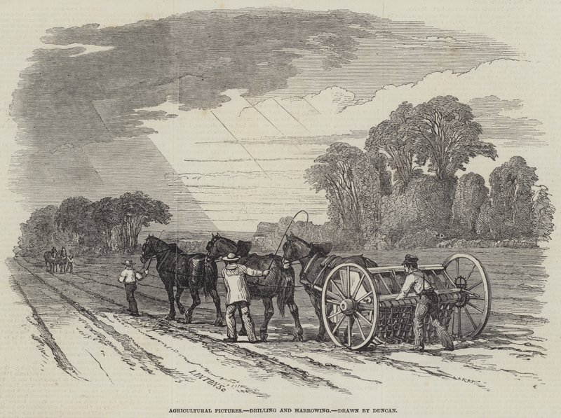Agricultural Pictures, Drilling and Harrowing by English School