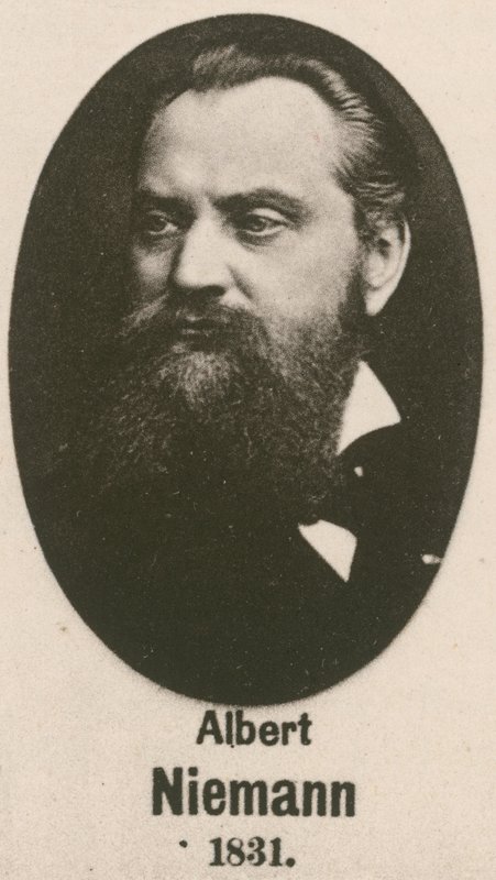 Albert Niemann by English School