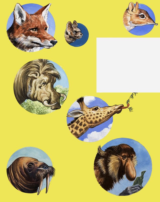 All Sorts of Muzzles and Snouts by English School