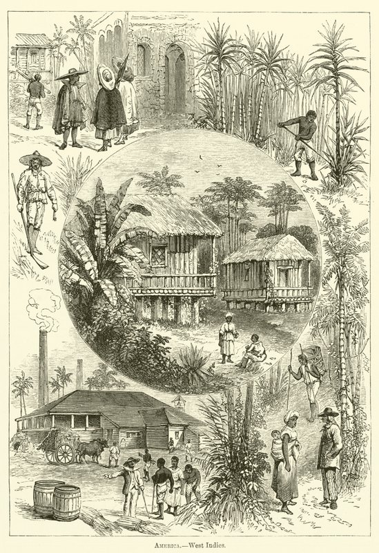 America, West Indies by English School