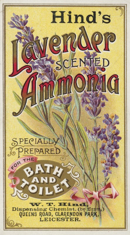 Ammonia, Lavender Scented by English School