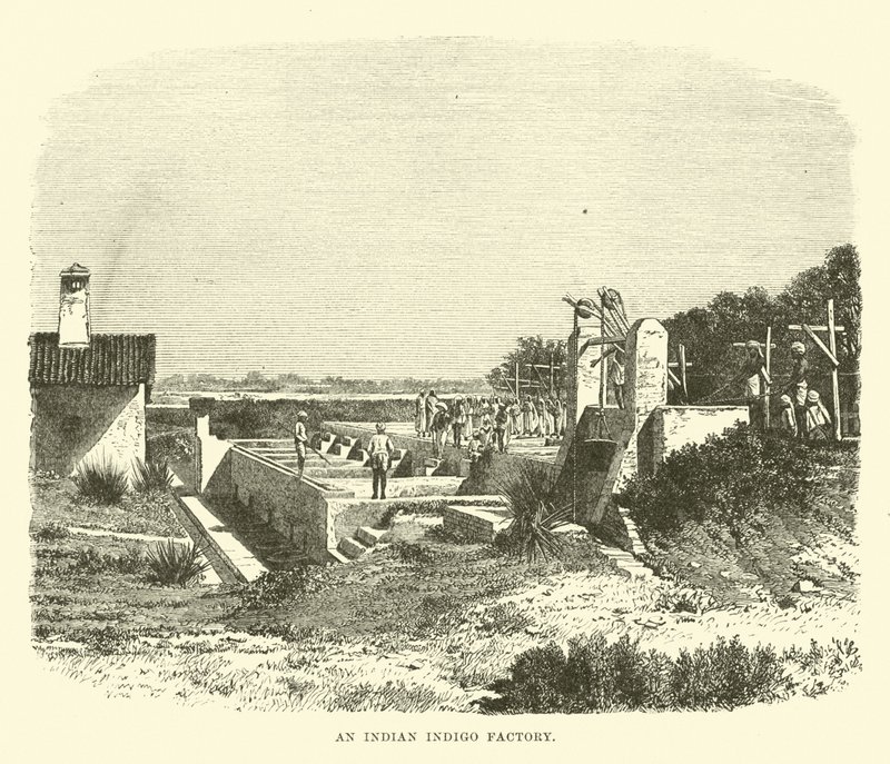 An Indian Indigo Factory by English School