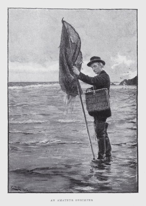An amateur shrimper by English School