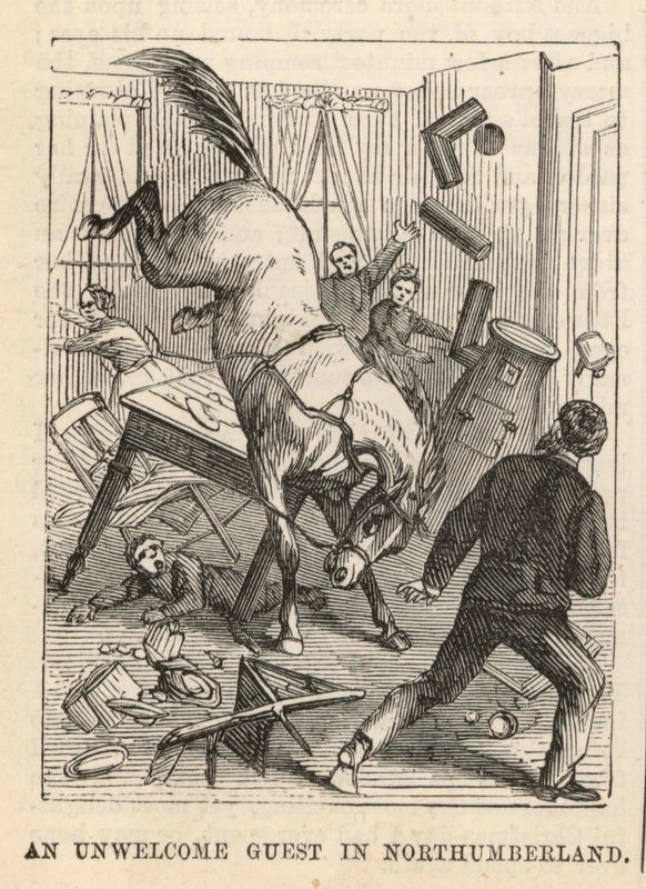 An Unwelcome Guest in Northumberland by English School