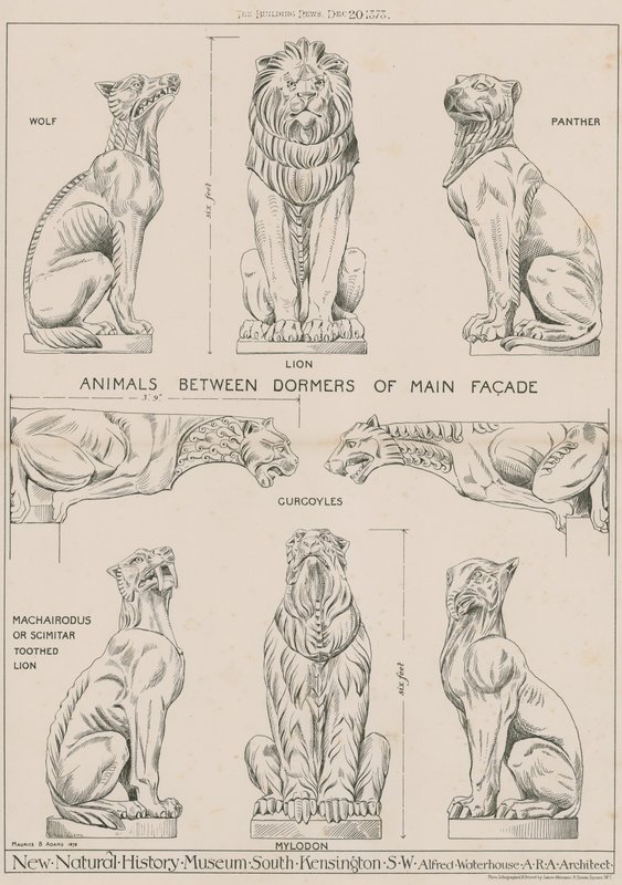 Animals Between Dormers of Main Facade of the New Natural History Museum, South Kensington by English School