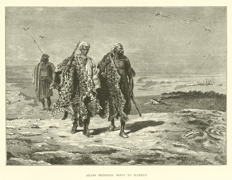 Arabs Bringing Skins to Market by English School