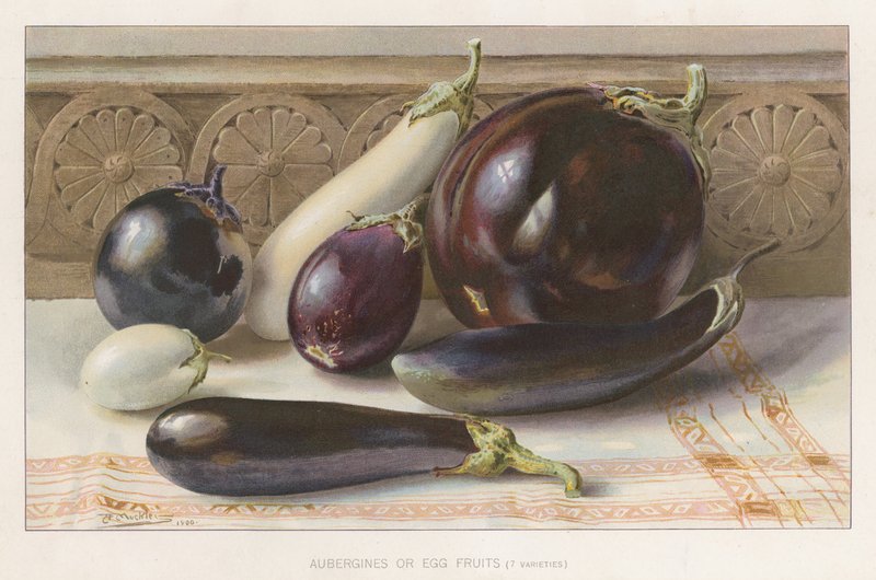 Aubergines or Egg Fruits by English School