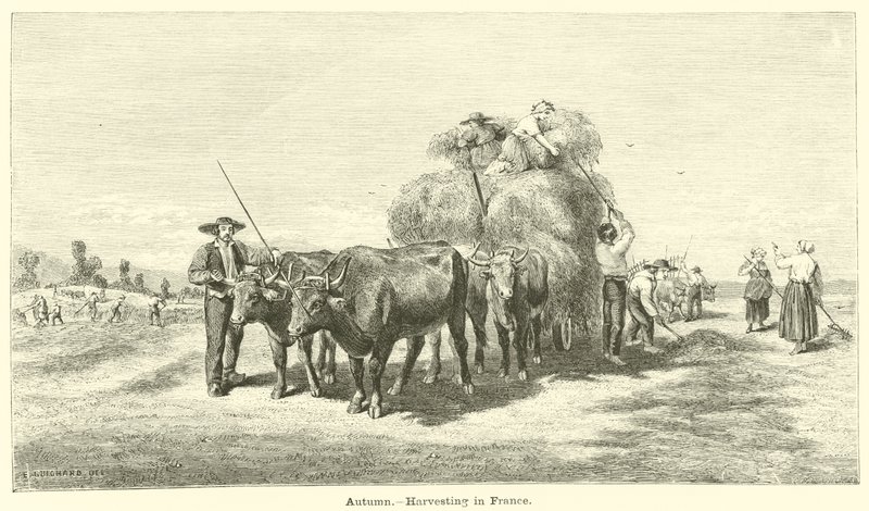 Autumn, Harvesting in France by English School
