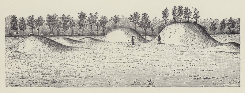 Avondale Mounds, Washington County, Mississippi by English School