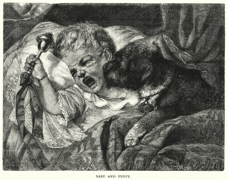 Baby and Puppy by English School