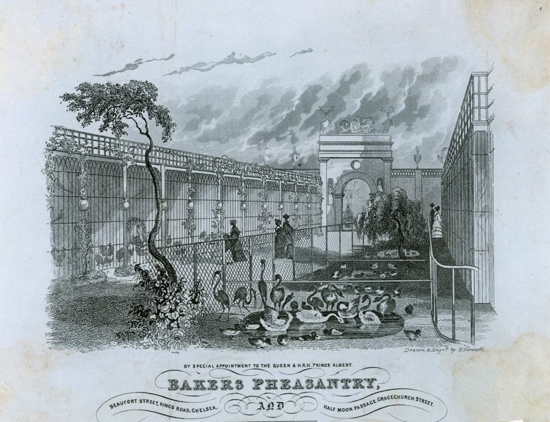 Bakers Pheasantry, Chelsea by English School