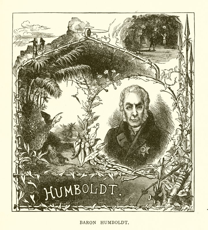 Baron Humboldt by English School