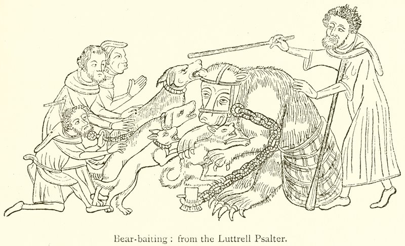 Bear-Baiting by English School