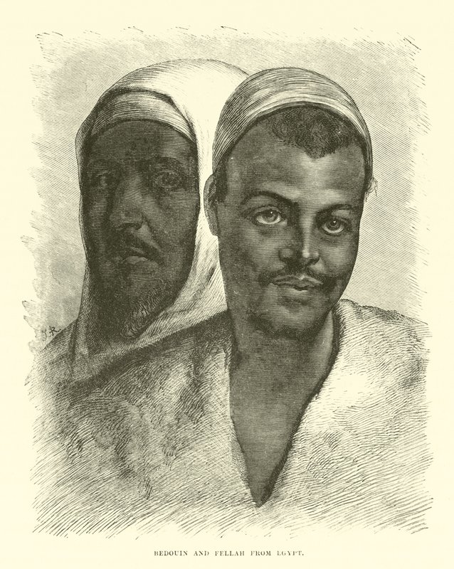 Bedouin and Fellah from Egypt by English School