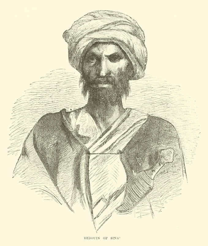 Bedouin of Sinai by English School