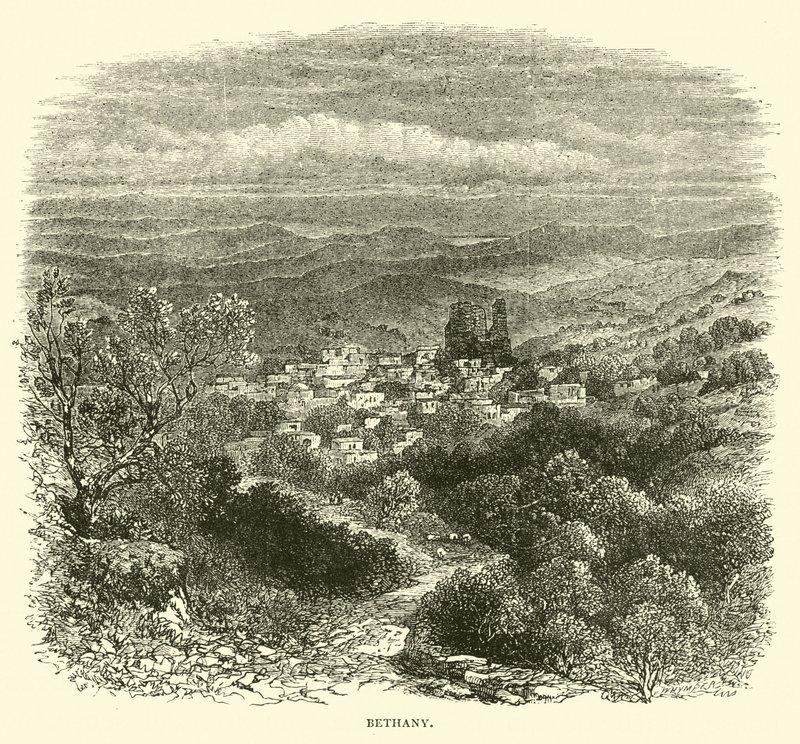 Bethany by English School